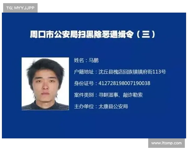 通缉逃亡攻略-通缉令攻略:逃犯缉捕:追捕攻略与反规避技巧 通缉逃亡攻略-通缉令攻略:逃犯缉捕:追捕攻略与反规避技巧